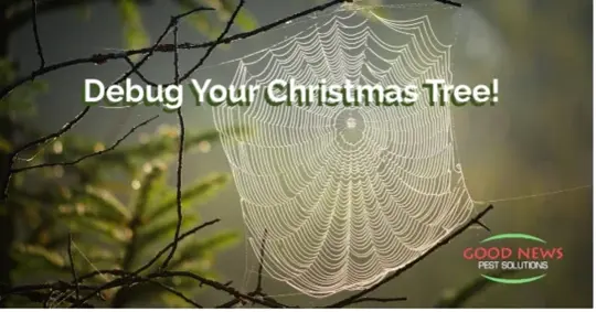 Debug Your Christmas Tree