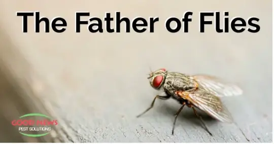 Father of flies