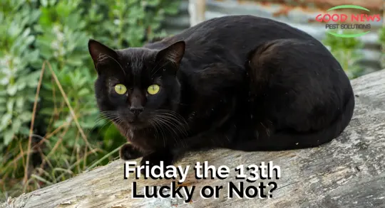 Friday the 13th