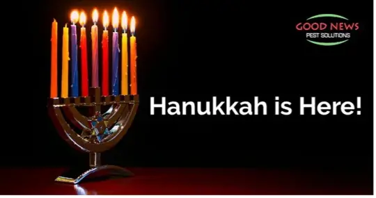 Hanukkah is Here!