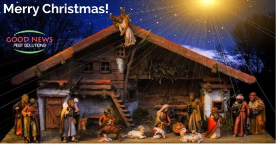 Merry Christmas!