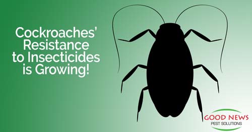A black cockroach silhouette is centered on a green background