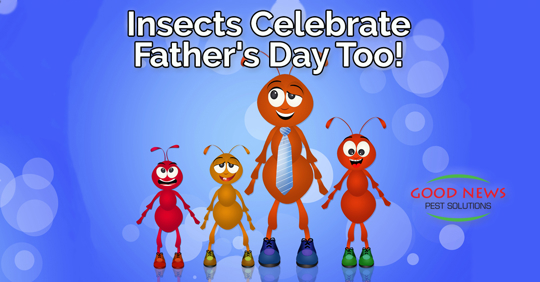 ants