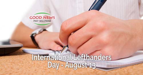 A hand is shown writing in a notebook.