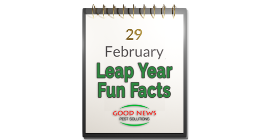 Leap Year Fun Facts