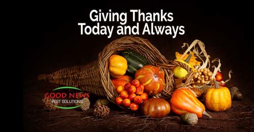A Thanksgiving image with an overflowing cornucopia filled with autumnal gourds and fruits.