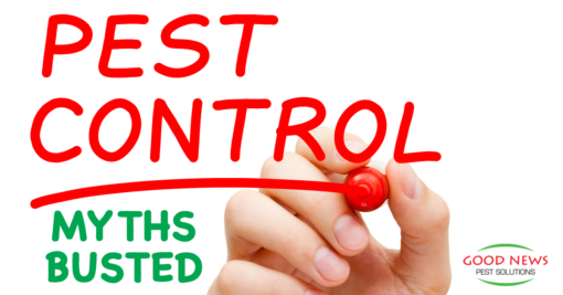 Pest Control Myths Busted