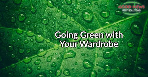 Going green with your wardrobe