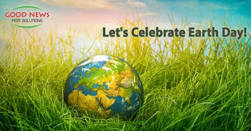 Let's Celebrate Earth Day