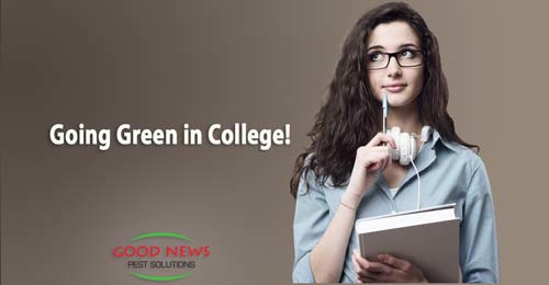 Going green in college