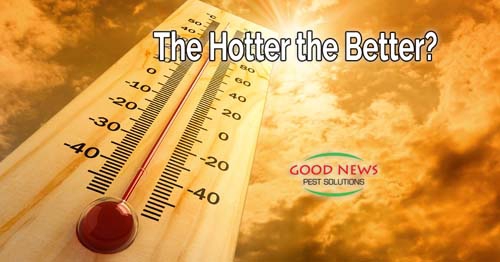 An image of a thermometer in front of a sunny sky.