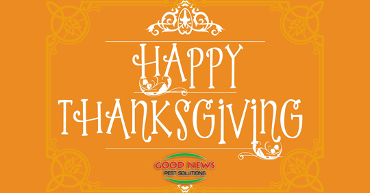 Happy Thanksgiving!