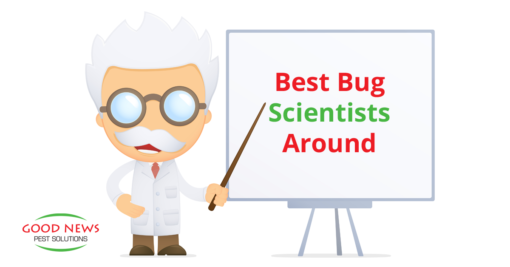 Best Bug Scientists Around