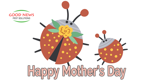 happy mother's day