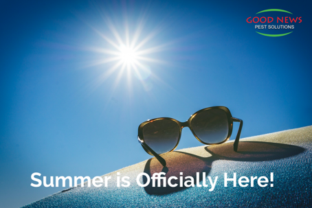 Summer is Officially Here!