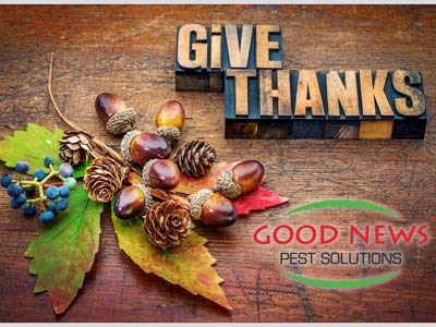 Give Thanks
