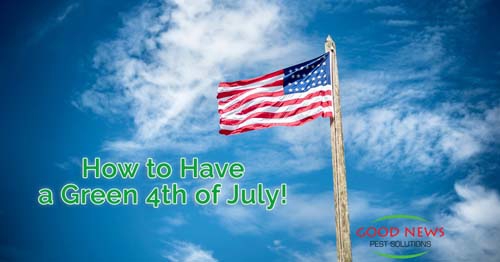 american flag
