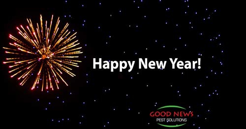 Happy New Year