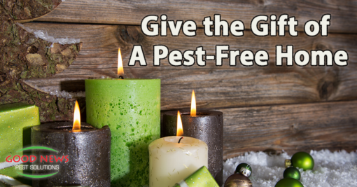 Give the Gift of a Pest-Free Home
