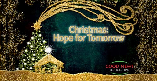 Holiday image featuring a glittery gold rendering of the Nativity scene.