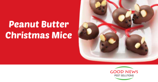 Peanut Butter Christmas Mice