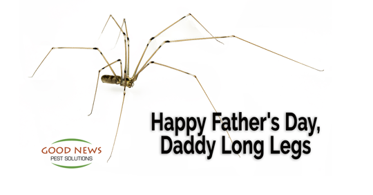 Happy Father's Day