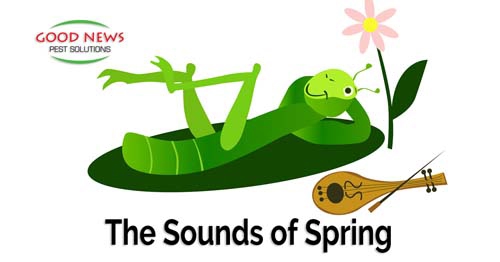 A cartoon grasshopper reclines lazily on a leaf, with a flower and lute nearby.