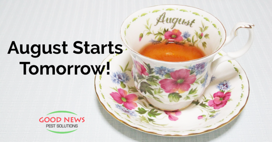 August Starts Tomorrow!