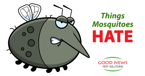 The Mosquitoes Hate