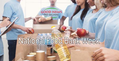 A group of volunteers pack food donations