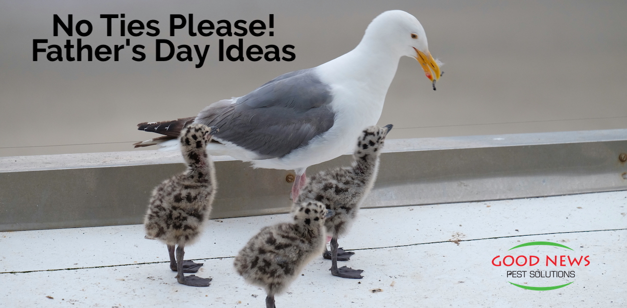  No Ties Please! Father's Day Ideas