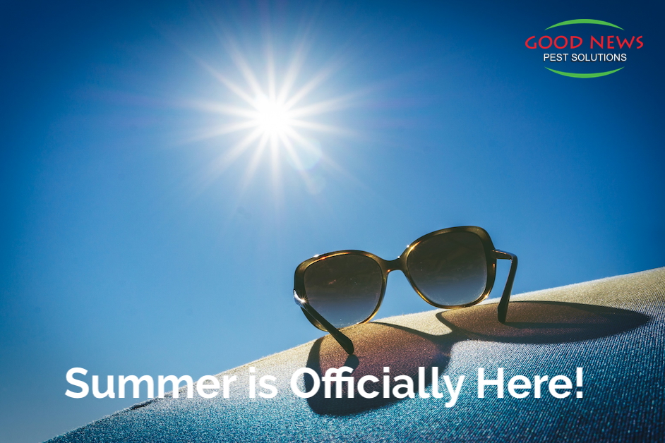 Summer is Officially Here!